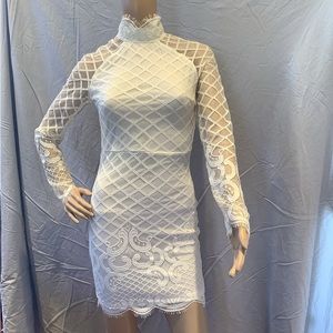 NWT -Gorgeous Pure White Lace and Mesh Dress.